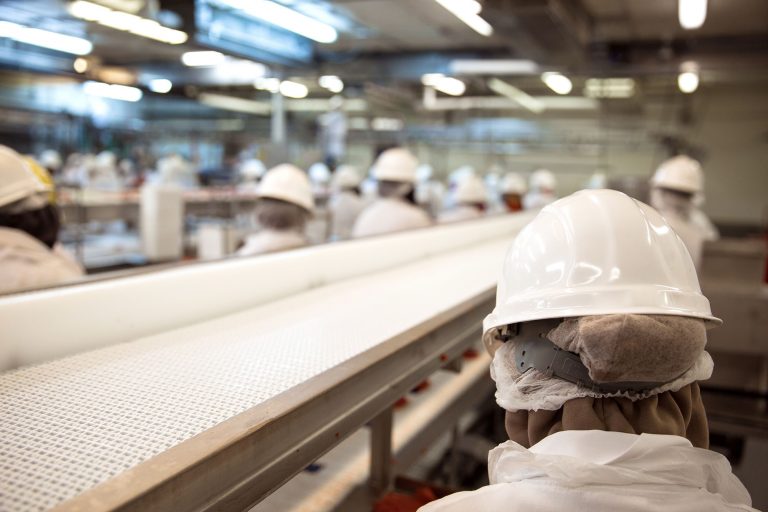 Food processing factory workers, manufacturing industry