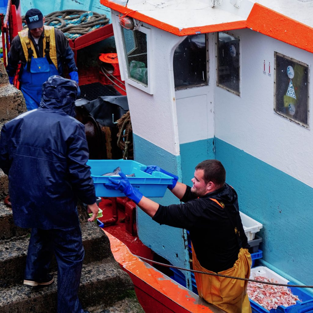 fishermen unloading fish catch fishing - slips, trips and falls at work